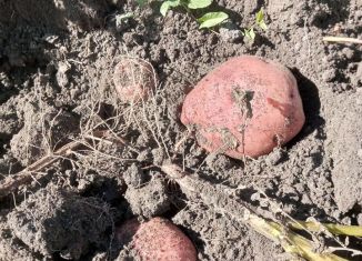 Продаю земельный участок, 5 сот., Ишим