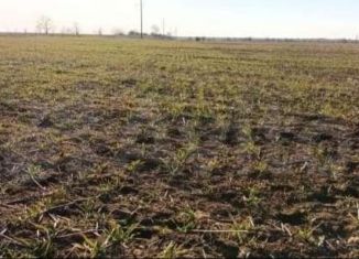 Участок на продажу, 893 сот., село Добрушино