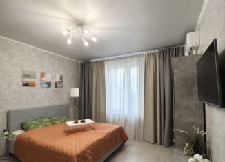 Аренда 1-ком. квартиры, 35 м2, Казань, улица Баки Урманче, 4к4