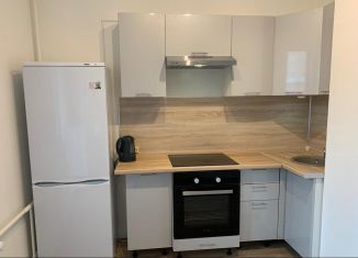 Сдача в аренду 1-комнатной квартиры, 33 м2, посёлок Мирный, улица Академика Северина, 9/2