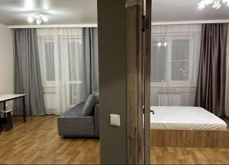 Сдаю в аренду 1-ком. квартиру, 50 м2, Иркутск, улица Трилиссера, 8/4, ЖК Жемчужина