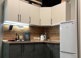 Сдаю в аренду квартиру студию, 15 м2, деревня Глухово, ЖК Рублёвское Предместье