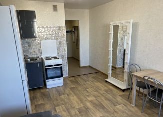 Сдается квартира студия, 25 м2, Мурино, проспект Авиаторов Балтики, 3к1, ЖК Девятый вал