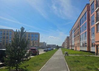 Продается 4-комнатная квартира, 95.5 м2, посёлок Стрельна, ЖК Любоград