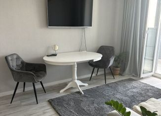 Сдаю 1-ком. квартиру, 40 м2, Челябинск, улица Академика Макеева, 24, ЖК Ньютон