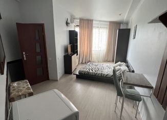 Квартира в аренду студия, 25 м2, Краснодарский край, Клубничная улица, 2А