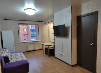 Сдача в аренду 2-ком. квартиры, 45.5 м2, Иркутск, улица Баумана, 237/3, ЖК Патриот