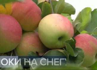 Продам земельный участок, 2.5 сот., станица Брюховецкая, улица Ленина, 56