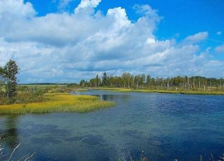 Продается участок, 12 сот., деревня Каргалозы, Проселочная улица