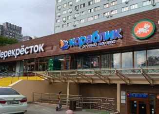 Сдается торговая площадь, 250 м2, Москва, Волгоградский проспект, 1с1, метро Пролетарская