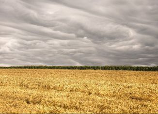 Продается участок, 800 сот., рабочий посёлок Колывань