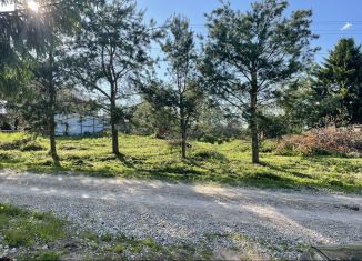 Продам участок, 18.1 сот., деревня Курегово, Черёмуховая улица