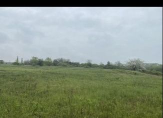 Продается участок, 6000 сот., хутор Старомогилёвский