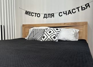 Аренда квартиры студии, 32 м2, Краснодарский край, Анапское шоссе, 24к8