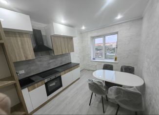 Сдается в аренду 2-ком. квартира, 55 м2, поселок городского типа Стройкерамика, улица Анетты Басс, 4с3