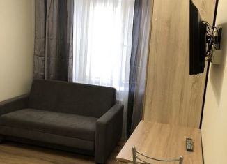 Сдаю квартиру студию, 18 м2, деревня Путилково, Спасо-Тушинский бульвар, 8