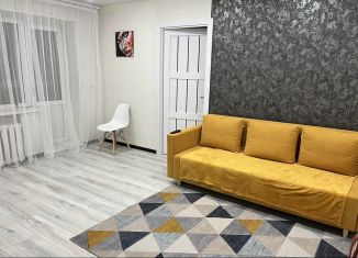 Сдаю двухкомнатную квартиру, 46 м2, Челябинск, улица Энтузиастов, 6