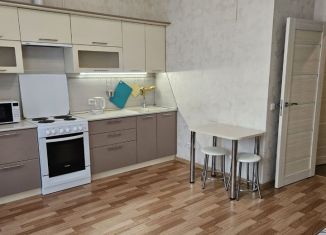 Сдаю квартиру студию, 26 м2, Петергоф, Парковая улица, 20к3с7