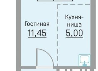 Продается квартира студия, 27.4 м2, деревня Кондратово, Водопроводная улица, 6/4