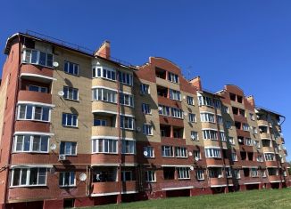 Продажа 1-комнатной квартиры, 38.3 м2, село Березнецово, Центральная улица, 5