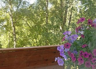 1-ком. квартира в аренду, 31 м2, Петергоф, бульвар Разведчика, 10к2