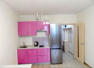 Сдаю в аренду квартиру студию, 28 м2, Мурино, улица Шувалова, 10/18, ЖК Десяткино