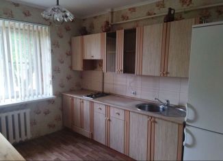 Сдается однокомнатная квартира, 38 м2, Краснодар, Коллективная улица, 43, микрорайон район 40 лет Победы