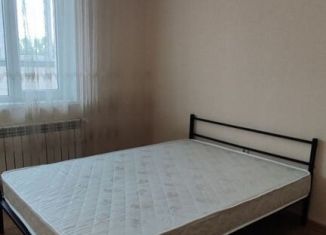 Аренда 1-комнатной квартиры, 40 м2, Казань, улица Альфии Авзаловой, 15, Кировский район