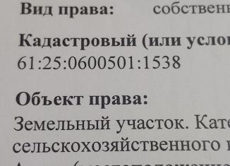 Земельный участок на продажу, 239 сот., село Несветай