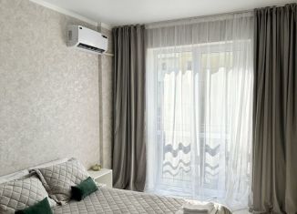 Сдам в аренду однокомнатную квартиру, 33.9 м2, поселок городского типа Афипский, улица Победы, 17/2