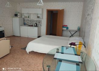 Сдаю квартиру студию, 33 м2, Пермь, улица Крылова, ЖК Данилиха