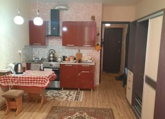 Продам квартиру студию, 24.8 м2, Удмуртия, Клубная улица, 17/1