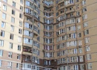 Сдаю в аренду 2-комнатную квартиру, 47 м2, Санкт-Петербург, проспект Луначарского, 78к5, муниципальный округ Северный