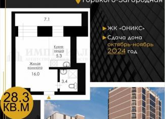 Квартира на продажу студия, 28.3 м2, Благовещенск, Загородная улица, 47