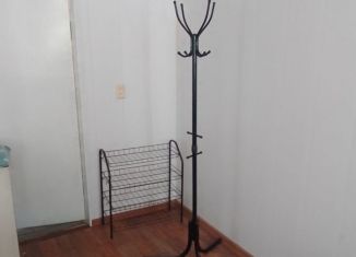 Сдача в аренду квартиры студии, 26 м2, Павловск, улица Коммунистов, 65