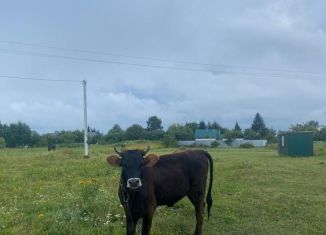 Продаю земельный участок, 15.4 сот., село Барское-Городище