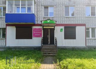 Помещение свободного назначения на продажу, 43.2 м2, Сегежа, проезд Бумажников, 2