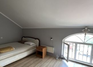 Сдам квартиру студию, 30 м2, посёлок городского типа Дагомыс, Батумское шоссе, 91