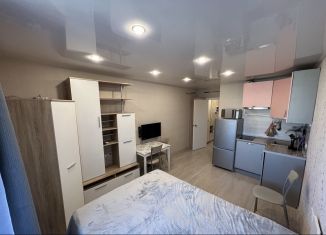 Квартира в аренду студия, 23.7 м2, Мурино, Охтинская аллея, 10к1, ЖК Девятый вал