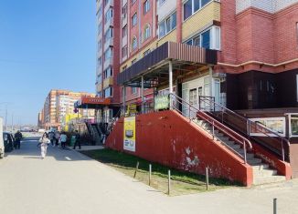 Сдаю помещение свободного назначения, 104.3 м2, Йошкар-Ола, улица Петрова, 22, микрорайон Восточный