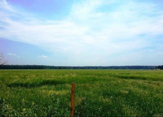 Участок на продажу, 88 сот., село Большие Салы