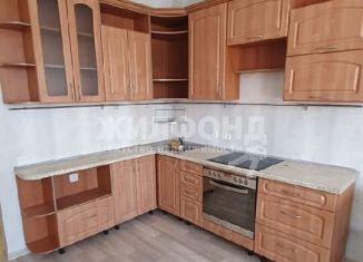 Сдается квартира студия, 35 м2, Новосибирск, улица Писарева, 125, улица Писарева