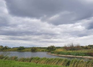 Продам участок, 40066 сот., Курганская область