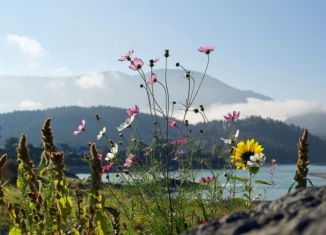 Продажа участка, 25 сот., Республика Алтай, Новая улица