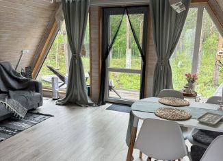 Сдается в аренду дом, 48 м2, Архангельская область, Лесная улица, 71