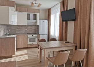 Сдам в аренду 1-комнатную квартиру, 46.3 м2, Екатеринбург, улица Чапаева, 79