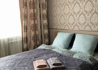 Сдам 1-комнатную квартиру, 49 м2, Новосибирск, Плющихинская улица, 6, Октябрьский район