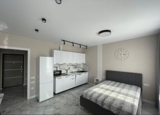 Аренда квартиры студии, 30 м2, Сочи, улица Искры, 88к1, микрорайон Кудепста