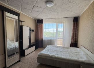 Продажа 1-комнатной квартиры, 29.8 м2, Еврейская АО, улица 40 лет Победы, 11