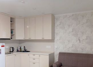 Аренда квартиры студии, 30 м2, Тюмень, улица Михаила Сперанского, 41, ЖК Видный